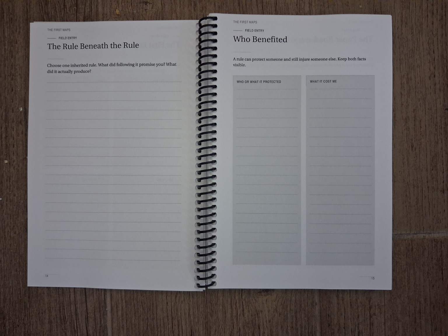 The Rule Beneath the Rule and Who Benefited photographed spread in the physical field journal