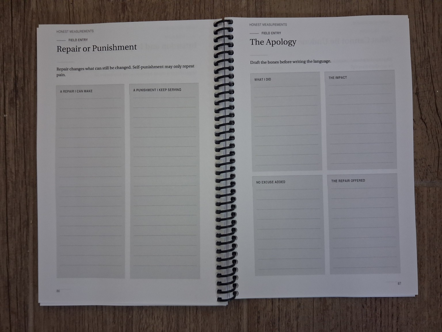 Repair or Punishment and The Apology photographed spread in the physical field journal