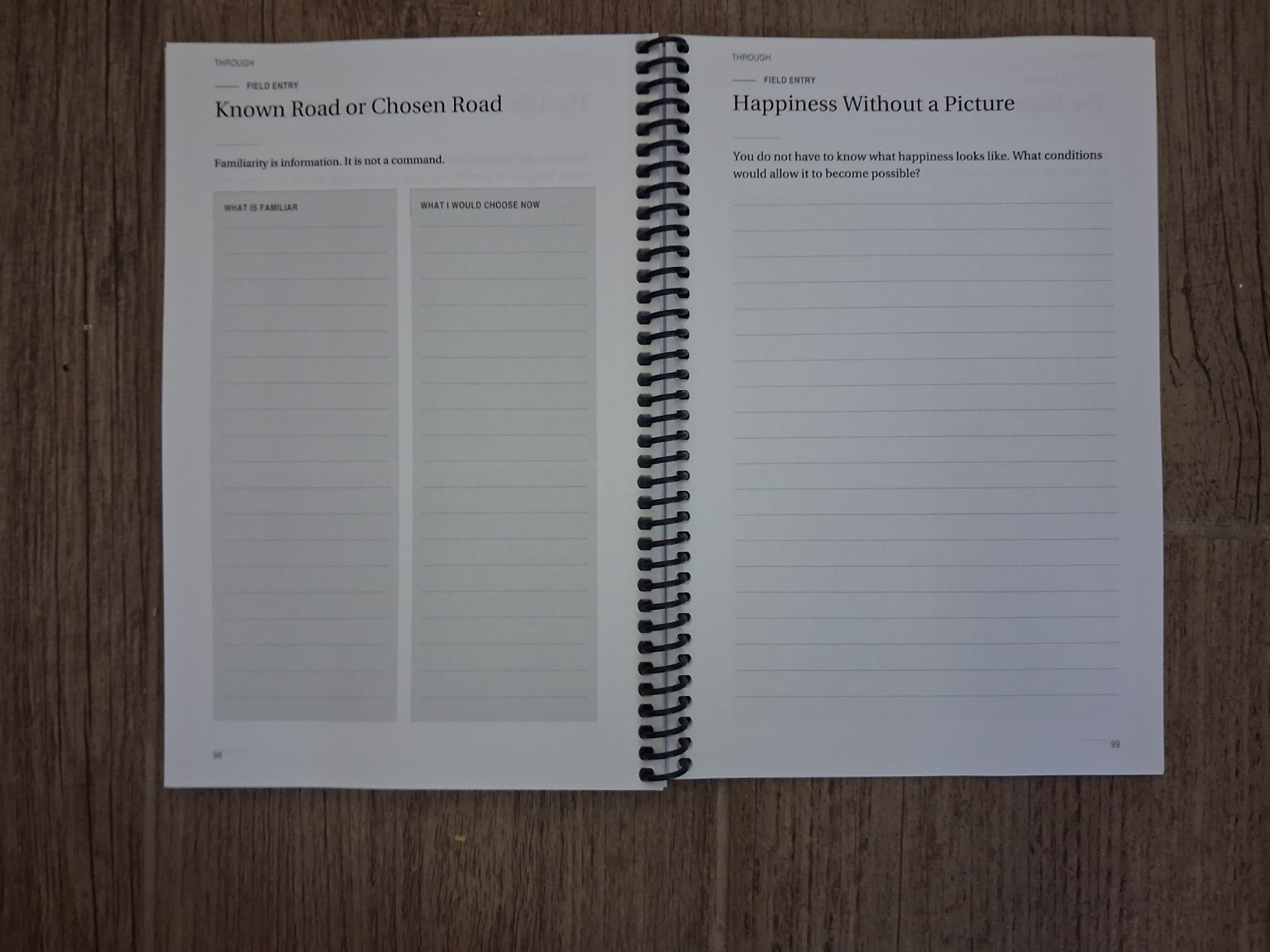 Known Road or Chosen Road and Happiness Without a Picture photographed spread in the physical field journal